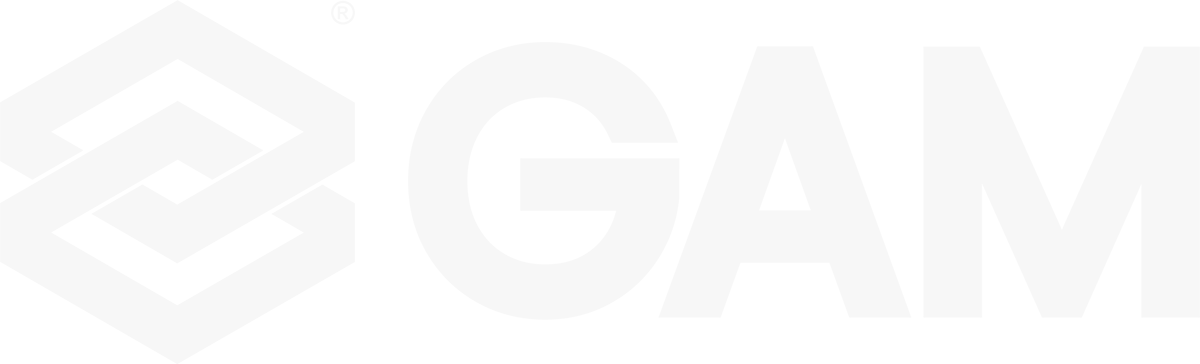 GAM WEB STORE